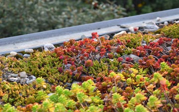 the cost of Higher Warcombe green roof installation