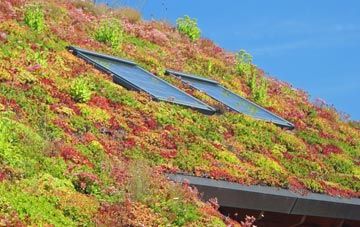 Higher Warcombe living roof systems